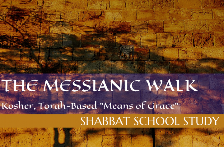 Kosher, Torah-Based Means of Grace: Study Questions for Unit Three - Shabbat School