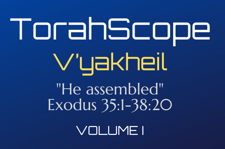 TorahScope V’yakheil - Exodus 35:1-38:20