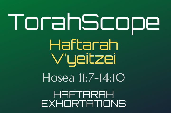 Haftarah V’yeitzei - Hosea 11:7-14:10