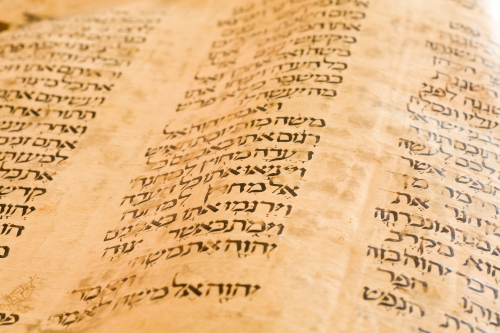 TorahScope, Volume II (cover image)