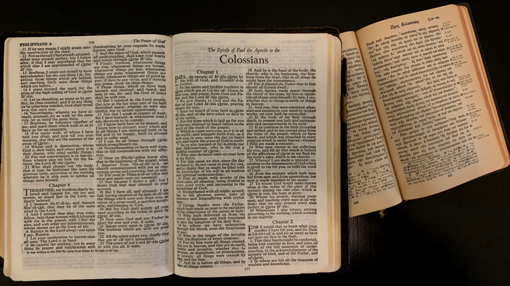Colossians and Philemon for the Practical Messianic (cover image)