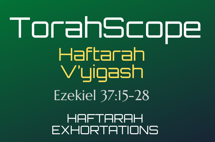Haftarah V’yigash - Ezekiel 37:15-28