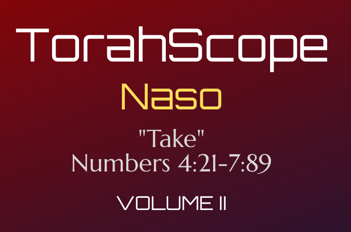 TorahScope Naso - Numbers 4:21-7:89