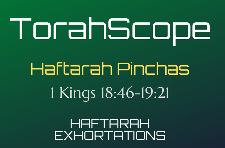 Haftarah Pinchas - 1 Kings 18:46-19:21