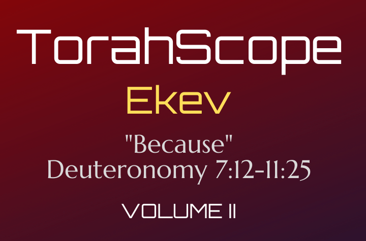 TorahScope Ekev - Deuteronomy 7:12-11:25