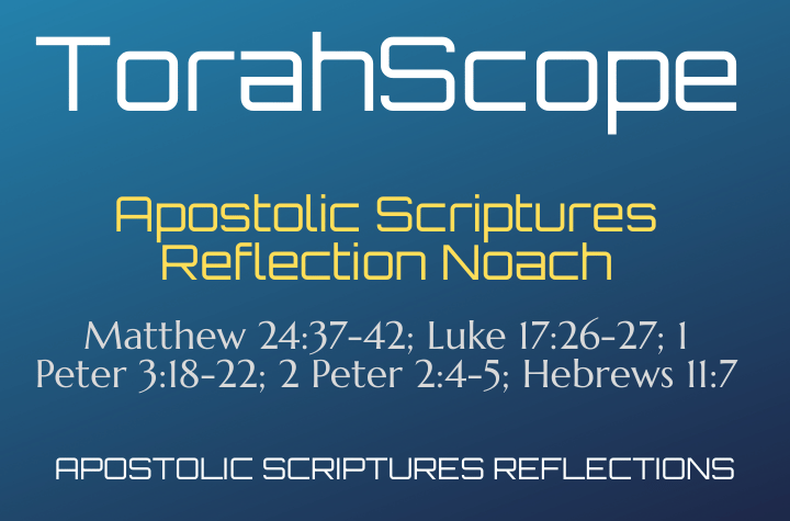 Apostolic Scriptures Reflection Noach - Matthew 24:37-42; Luke 17:26-27; 1 Peter 3:18-22; 2 Peter 2:4-5; Hebrews 11:7