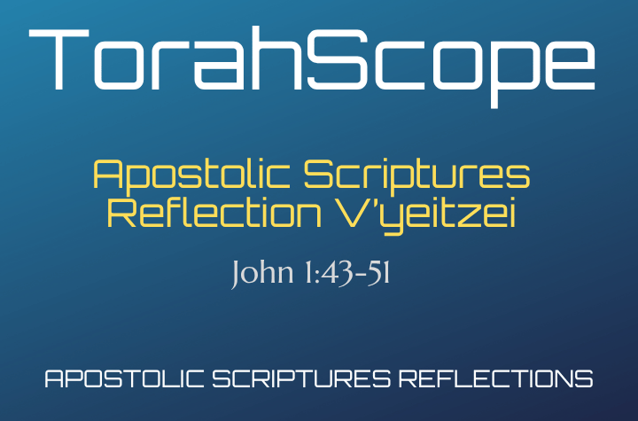 Apostolic Scriptures Reflection V’yeitzei