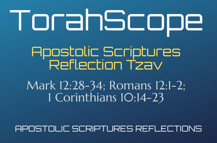 Apostolic Scriptures Reflection Tzav
