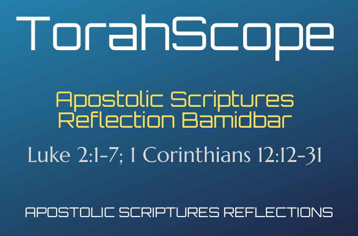 Apostolic Scriptures Reflection Bamidbar - Luke 2:1-7; 1 Corinthians 12:12-31