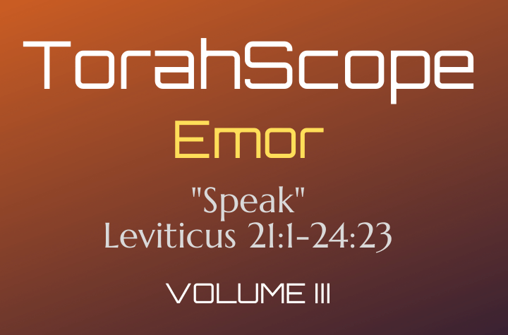 TorahScope Emor - Leviticus 21:1-24:23