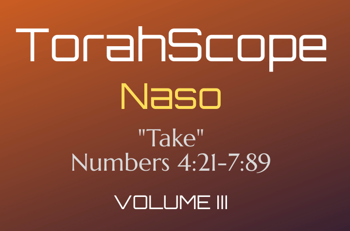 TorahScope Naso - Numbers 4:21-7:89