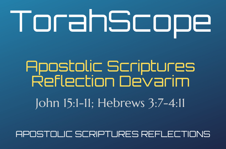 Apostolic Scriptures Reflection Devarim - John 15:1-11; Hebrews 3:7-4:11