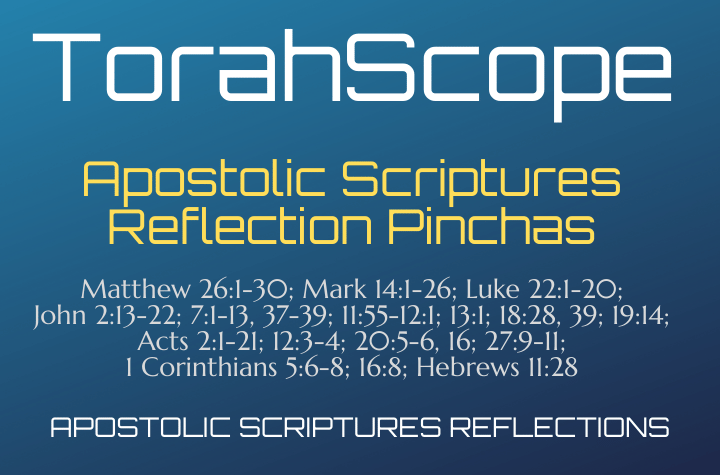 Apostolic Scriptures Reflection Pinchas