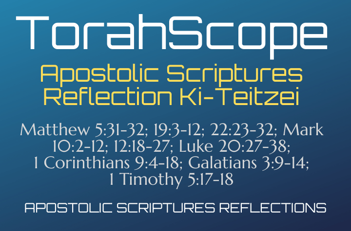 Apostolic Scriptures Reflection Ki-Teitzei