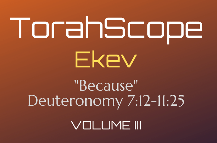 TorahScope Ekev - Deuteronomy 7:12-11:25