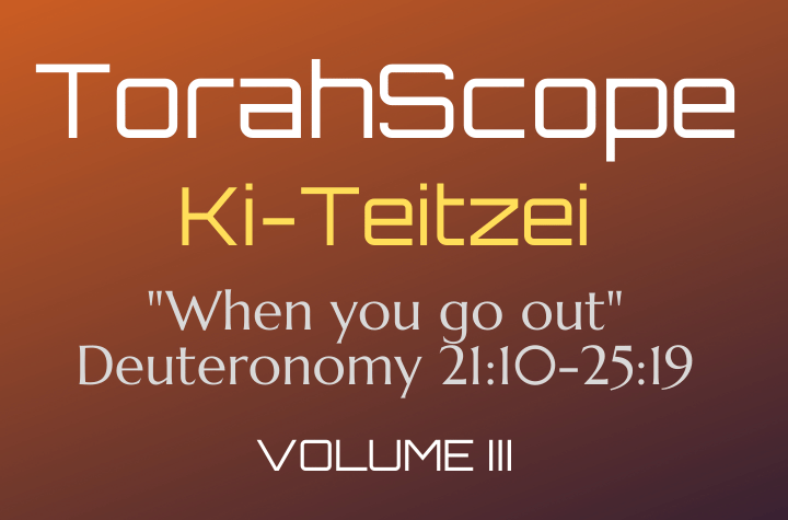 TorahScope Ki-Teitzei - Deuteronomy 21:10-25:19