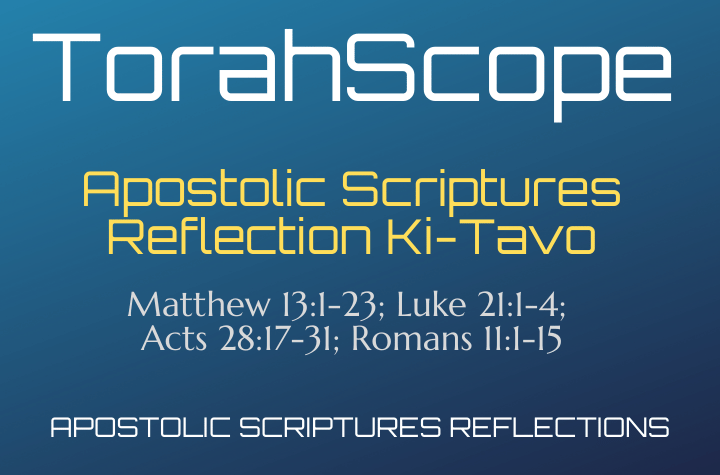 Apostolic Scriptures Reflection Ki-Tavo