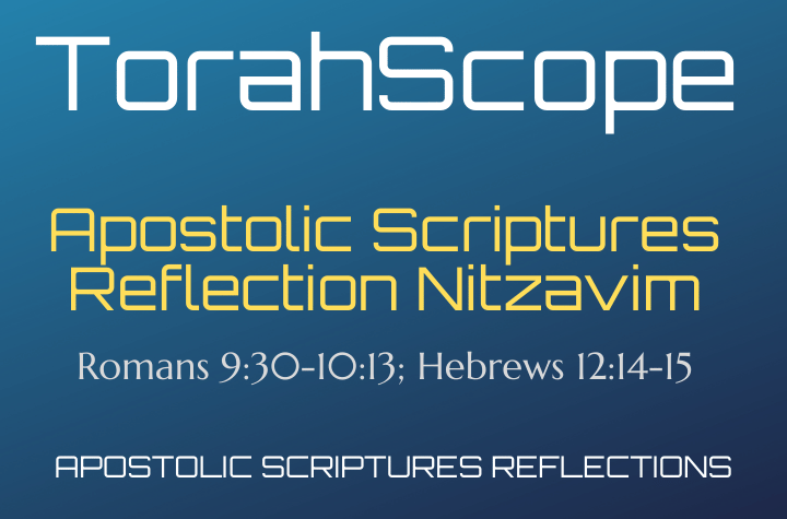 Apostolic Scriptures Reflection Nitzavim - Romans 9:30-10:13; Hebrews 12:14-15