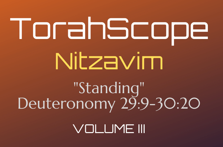 TorahScope Nitzavim - Deuteronomy 29:9-30:20