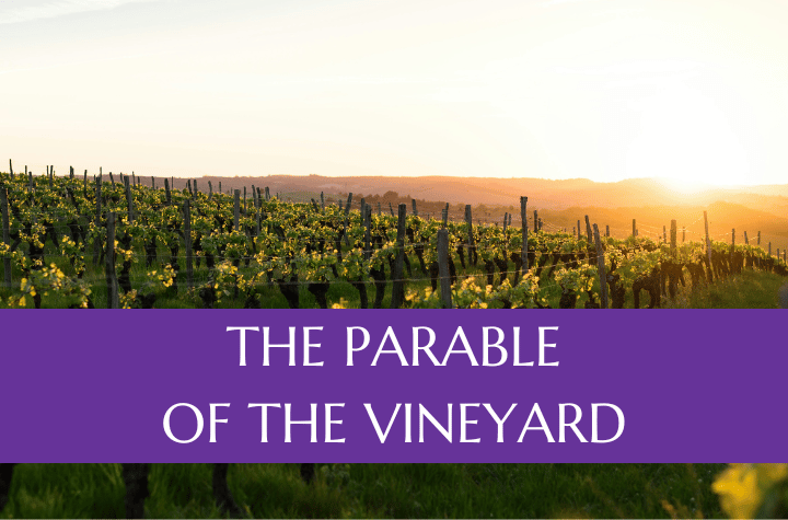 The Parable of the Vineyard - August 2025 Outreach Israel News
