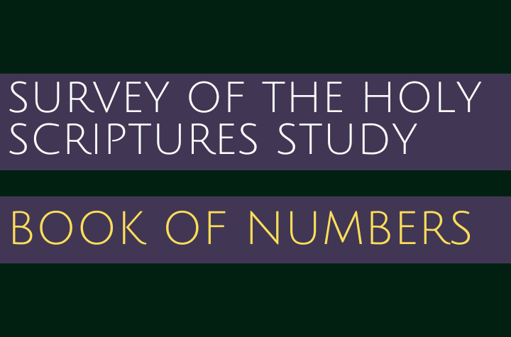 Book of Numbers - Survey of the Holy Scriptures Study