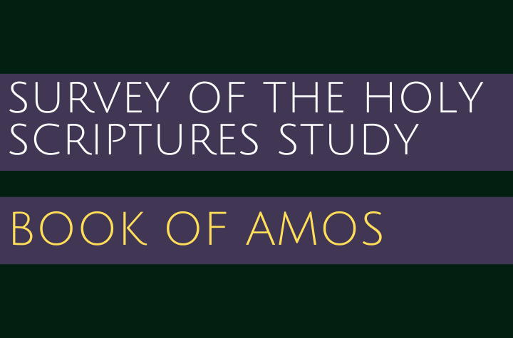 Book of Amos - Survey of the Holy Scriptures Study